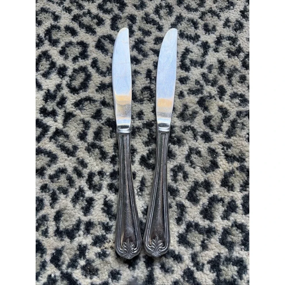 2 Dinner Knives Lenox BUTLERS GOURMET 18/8 Stainless Plume China Flatware 9 1/2